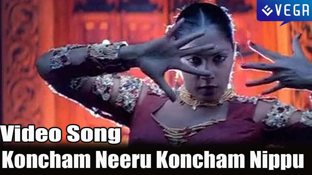 DongaDonga Movie  Koncham Neeru Koncham Nippu Video Song