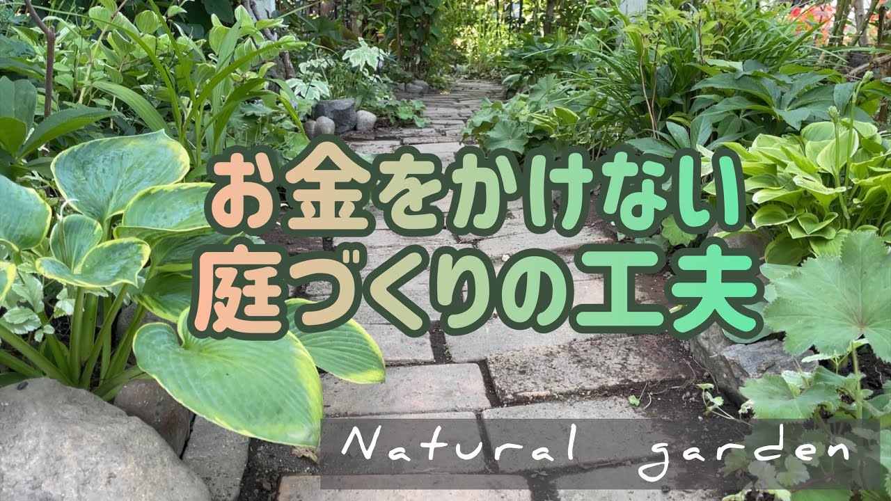 自然を生かした節約庭づくり【今綺麗なシェードの宿根草紹介】
