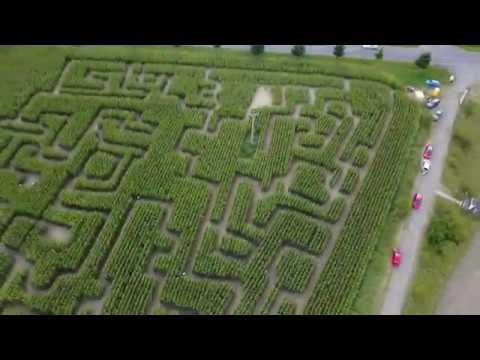 Cars and Mazes, Czech Republic. Vlog 160817