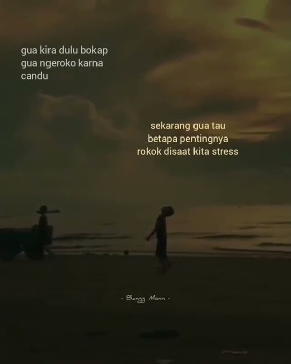 story wa perokok