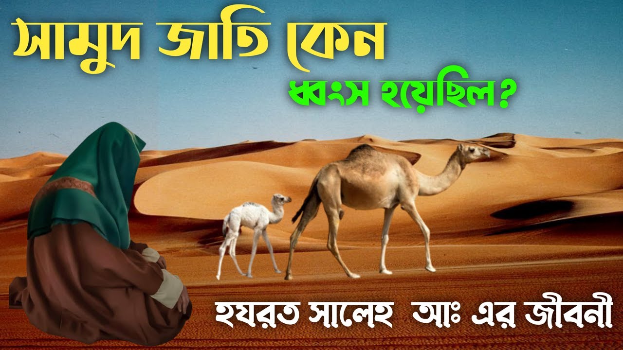 সালেহ আঃ এর জীবনী | সামুদ জাতি কেন ধ্বংস হয়েছিল | Biography Of Hazrat