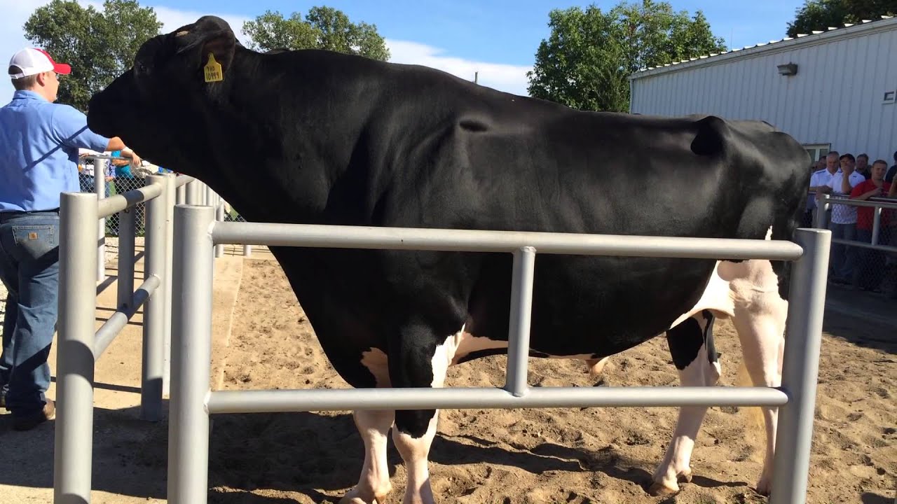 7HO10999 BRADNICK - YouTube