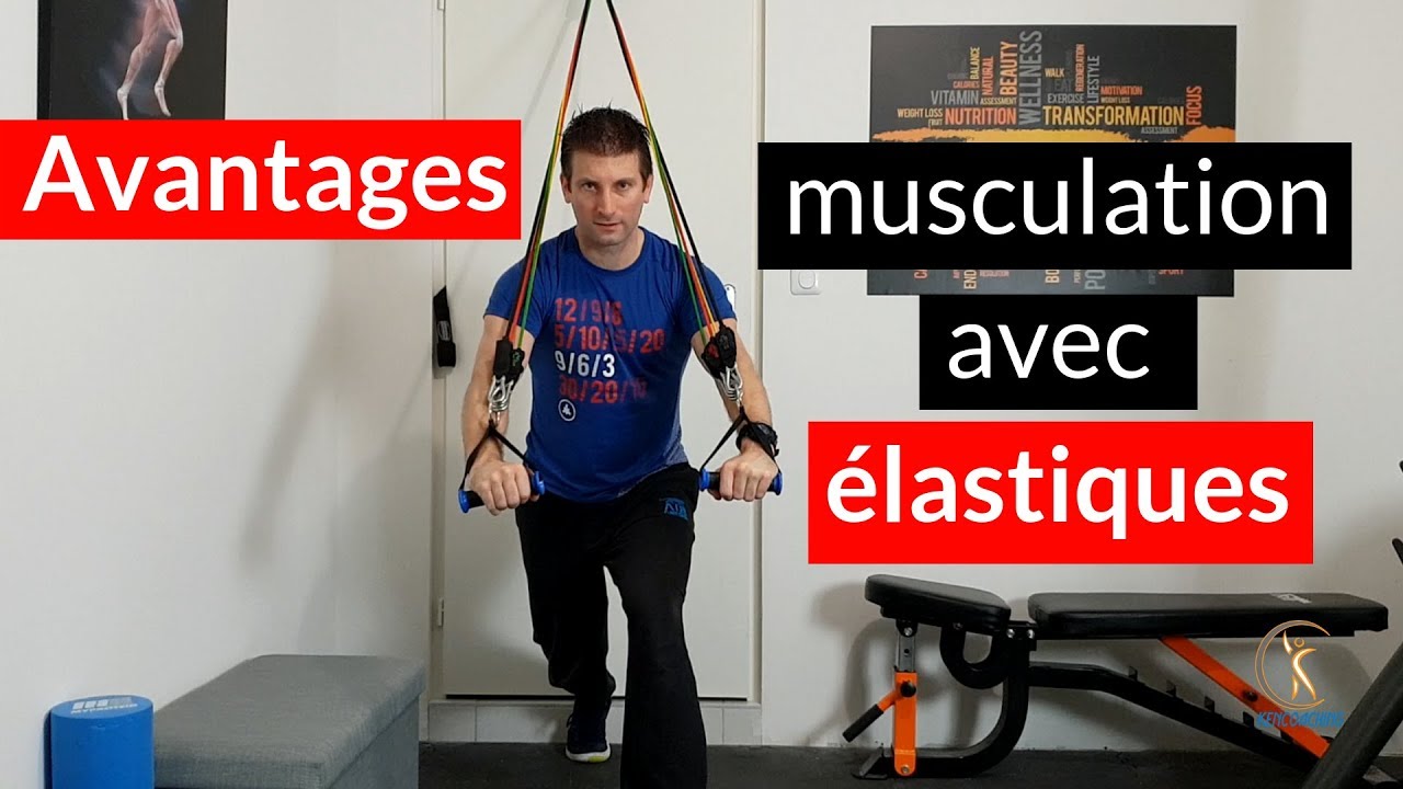 Exercices avec des élastiques de musculation