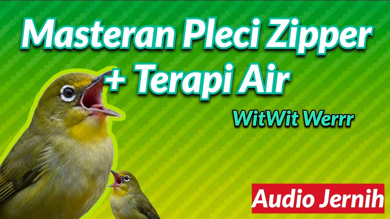 MASTERAN PLECI: Zipper Witwit Wer Speed Rapat Plus Terapi Air Mengalir