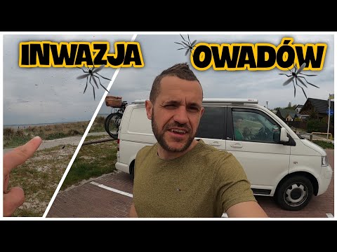 Wideo: Notatki Terenowe Z Bitwy Na Plaży Kuta - Matador Network