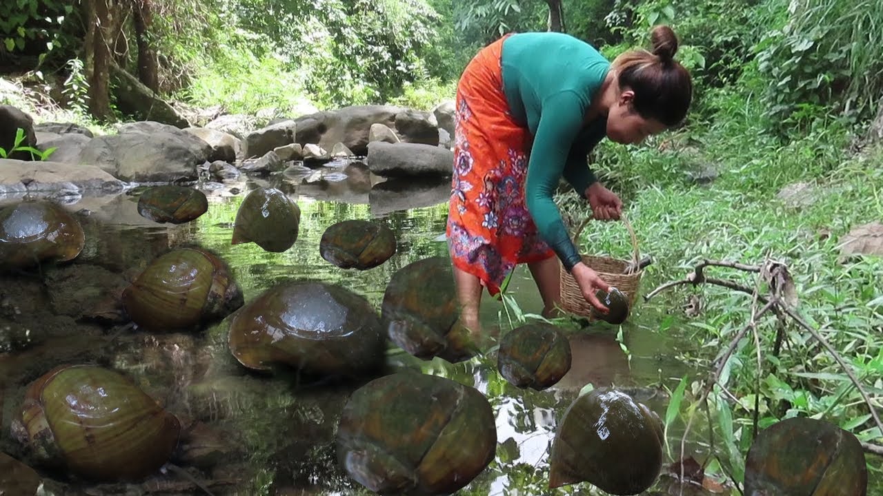 Catch snails and cook in the forests for food with sauce delicious Ep