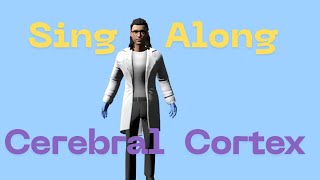 Cerebral Cortex Kids Song #kidsscience #kidssongs