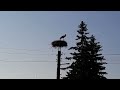 Разгрузка в Болгарии, техническое обслуживание