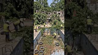 Building a Hidden Bunker Like a Pro 🛠️#bunker #underground  #hiddenbunker #shorts #millionviews