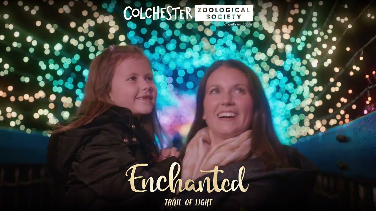 Enchanted Trail of Light 2025