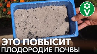 видео: 4 ОТЛИЧНЫХ СПОСОБА СДЕЛАТЬ ПОЧВУ ПУШИСТОЙ И ПЛОДОРОДНОЙ! картинка: 4 ОТЛИЧНЫХ СПОСОБА СДЕЛАТЬ ПОЧВУ ПУШИСТОЙ И ПЛОДОРОДНОЙ!