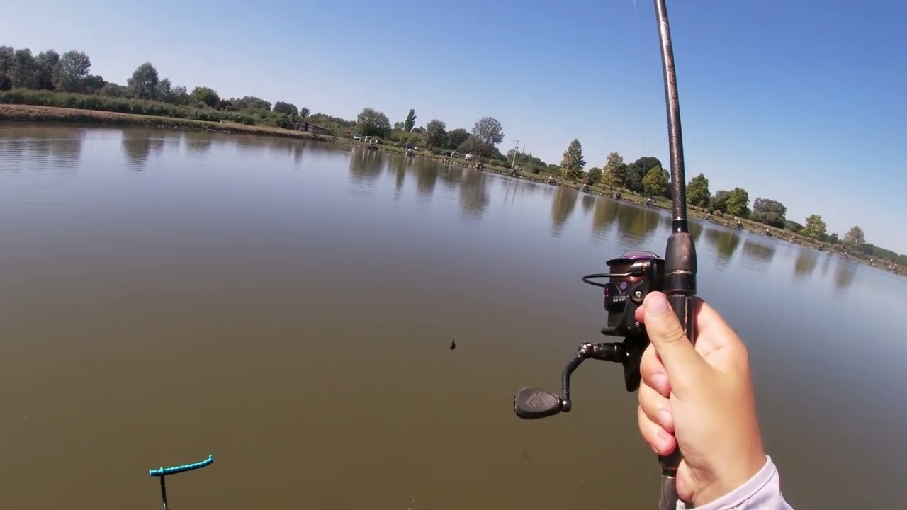 Method feeder verseny betekintés Kiskunhalas Ezüst tó