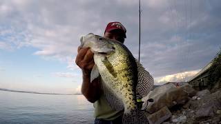 Fall Crappie Fishing From The Bank