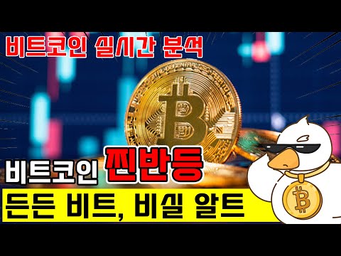 비트코인 실시간 방송) 알트코인 살 자리 좀 줄래?