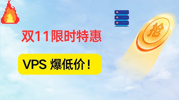 $10 起！RackNerd 双11 VPS 优惠价|VPS 购买|服务器 优惠|便宜服务器|Cheap VPS Hosting|How to Buy the Best Cheap VPS 2025
