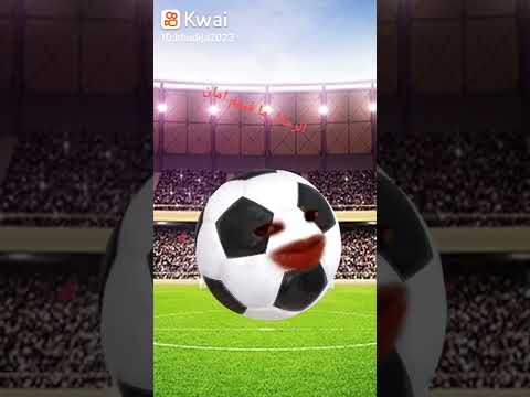 شكرا يا رجل شاكيرا