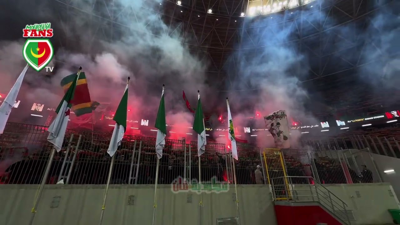 Amore e mentalita عين القصايد 🟢🔴