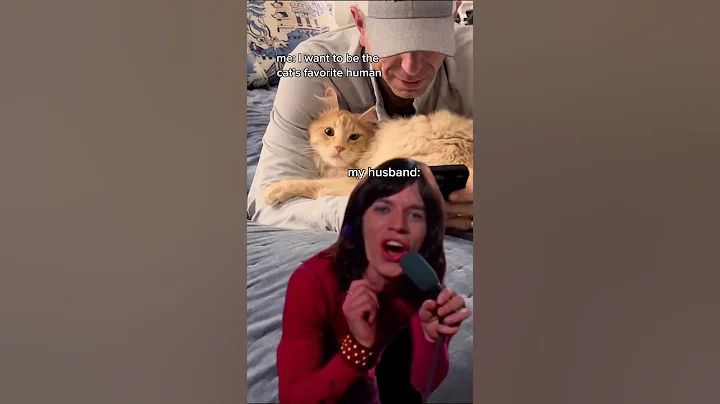 Video 11816421: mainecoon cat funnycat