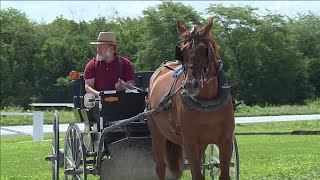 Zip Trip: Jamesport