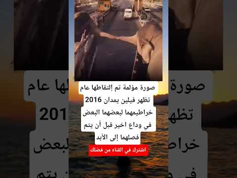 صورة مؤلمة تم إلتقاطها عام 2016 تظهر فيلين یمدان الجزاير اكسبلور اقنباسات لايك ترند 