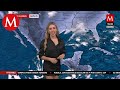 El clima para mañana 26 de octubre, con Jessica de Luna