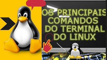 Principais  Comandos do terminal do  Kali Linux / Conhecendo o Sistema na pratica