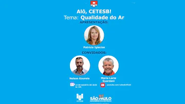 Em que situação o ozônio é o gás carbônico podem ser considerados poluentes?