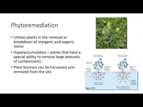 Video: Soil Pollution Control, Lime Fertilizers