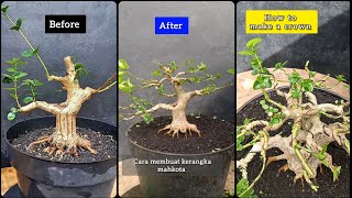 Step by step making of sancang informal part.1