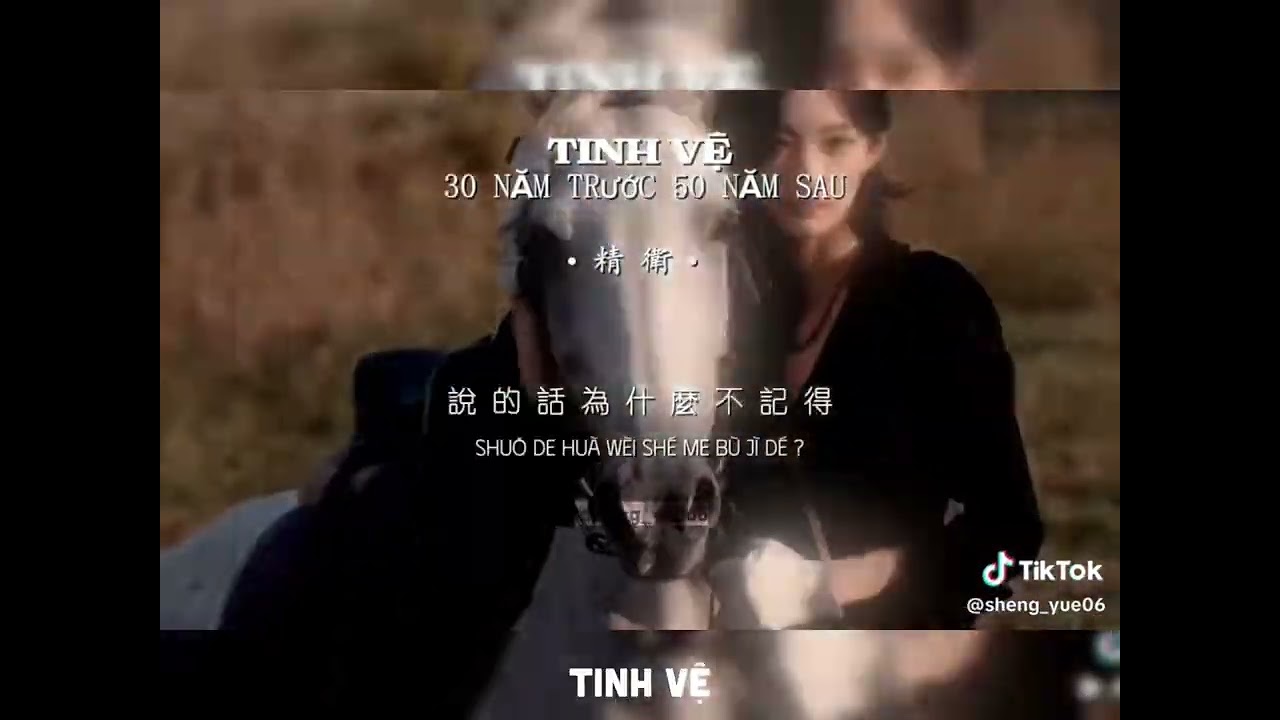 [MUSIC] Tổng hợp các nhạc Trung cực hay mà bạn nên nghe 1 lần💐