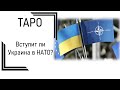 ТАРО: Вступит ли Украина в НАТО?