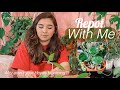 Repot With Me! | Hoya FAQ + Trying PON