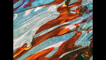 Stray Fossa - Transpiring