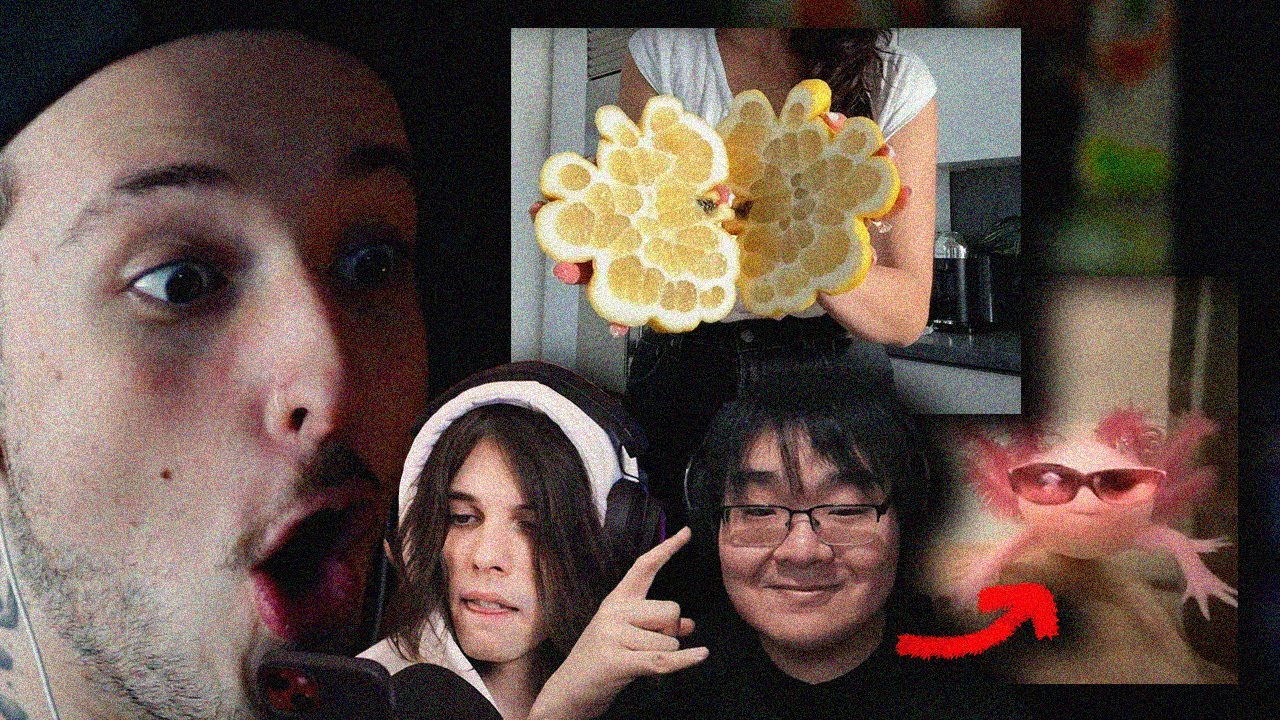 dosezinha diária de internet pra vcsss (ft. @Umild @Tibba041 )