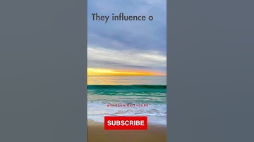 The Surprising Impact of Cognitive Biases #subscribe #quote