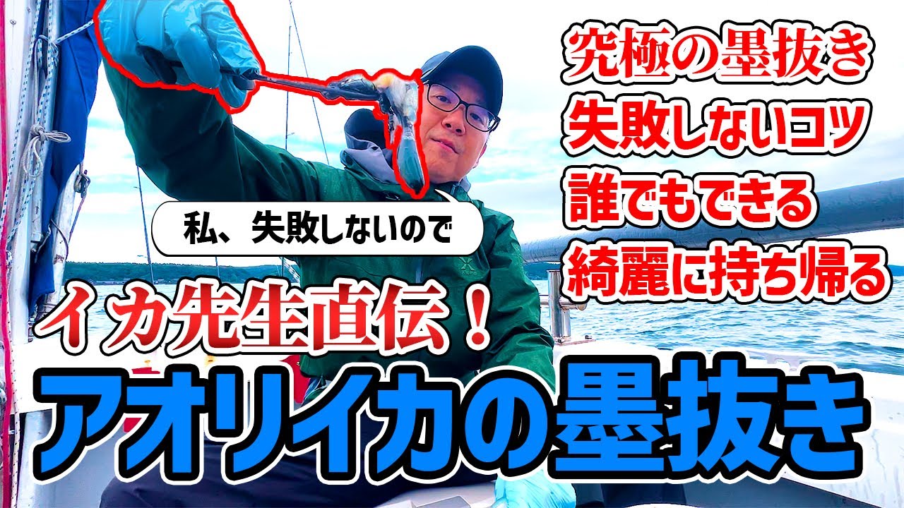 私、失敗しないので！アオリイカの墨抜きはこうやれば上手くいく！きれいに持ち帰ってまな板も墨知らず。誰でも簡単♪墨袋を破らないコツ。