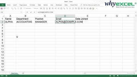 [EXCEL SIFU]Fast Data Entry in Microsoft Excel