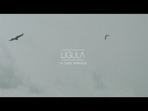 Lígula - La Casa Naranja (Videolyric Oficial)