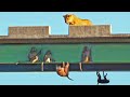 Baboons Hang on to Bridge for Dear Life to Avoid Lions