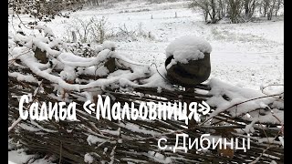 Садиба "Мальовниця" село Дибинці, Київщина.