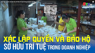 Xác lập quyền và bảo hộ sở hữu trí tuệ trong doanh nghiệp