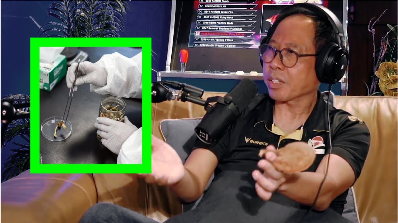 How To Measure Triterpenes in Mushrooms?