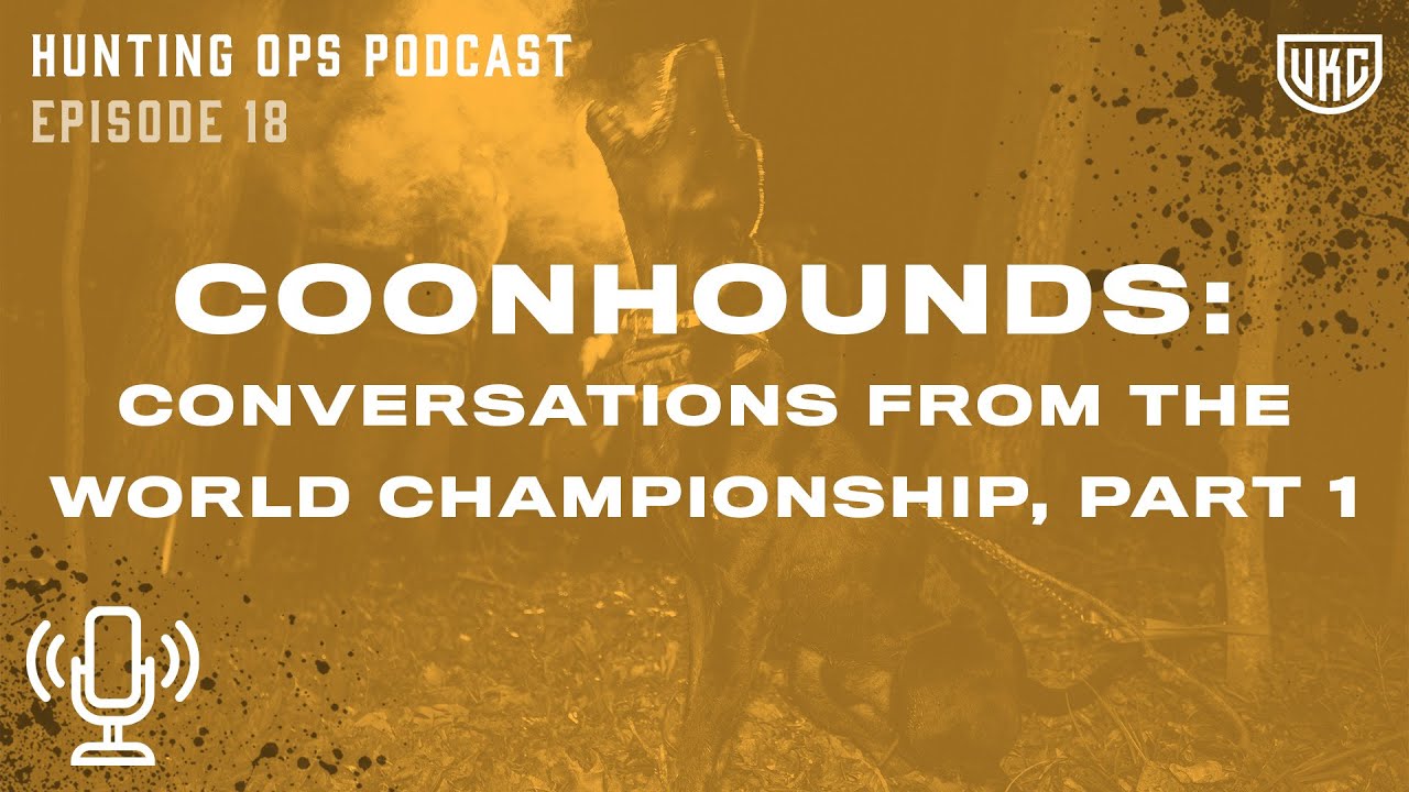ukc-hunting-ops-podcast-ep-18-coonhounds-conversations-from-the
