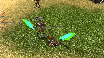 metin2 nl FirexDragon vs SuperParot