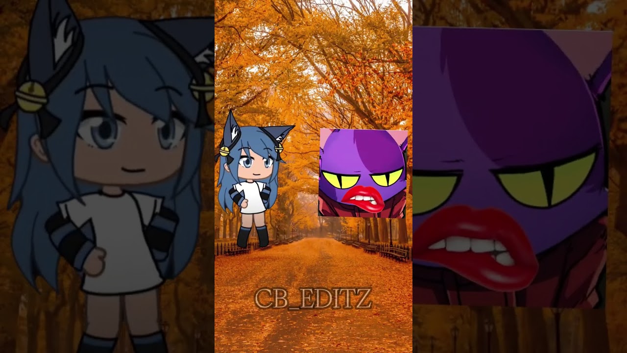 Bella the wolf vs YouTubers 