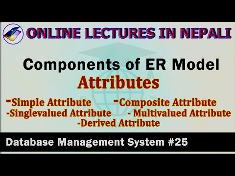 DBMS#25|| Attributes in ER-Model|| Intro, types, examples ||DBMS Lectures in Nepali||