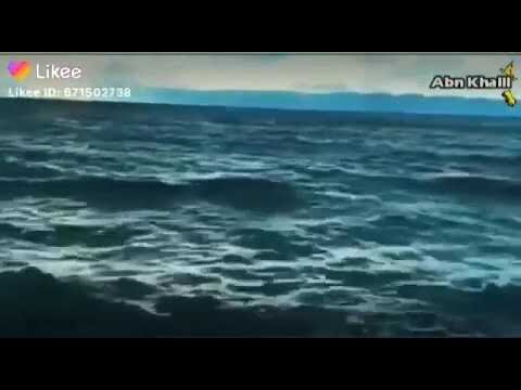 اغنية انا عندي حلم وفي يوم اكيد هقدر وطول ابعد سما باداء مختلف اول مره تسمع هنا وبس