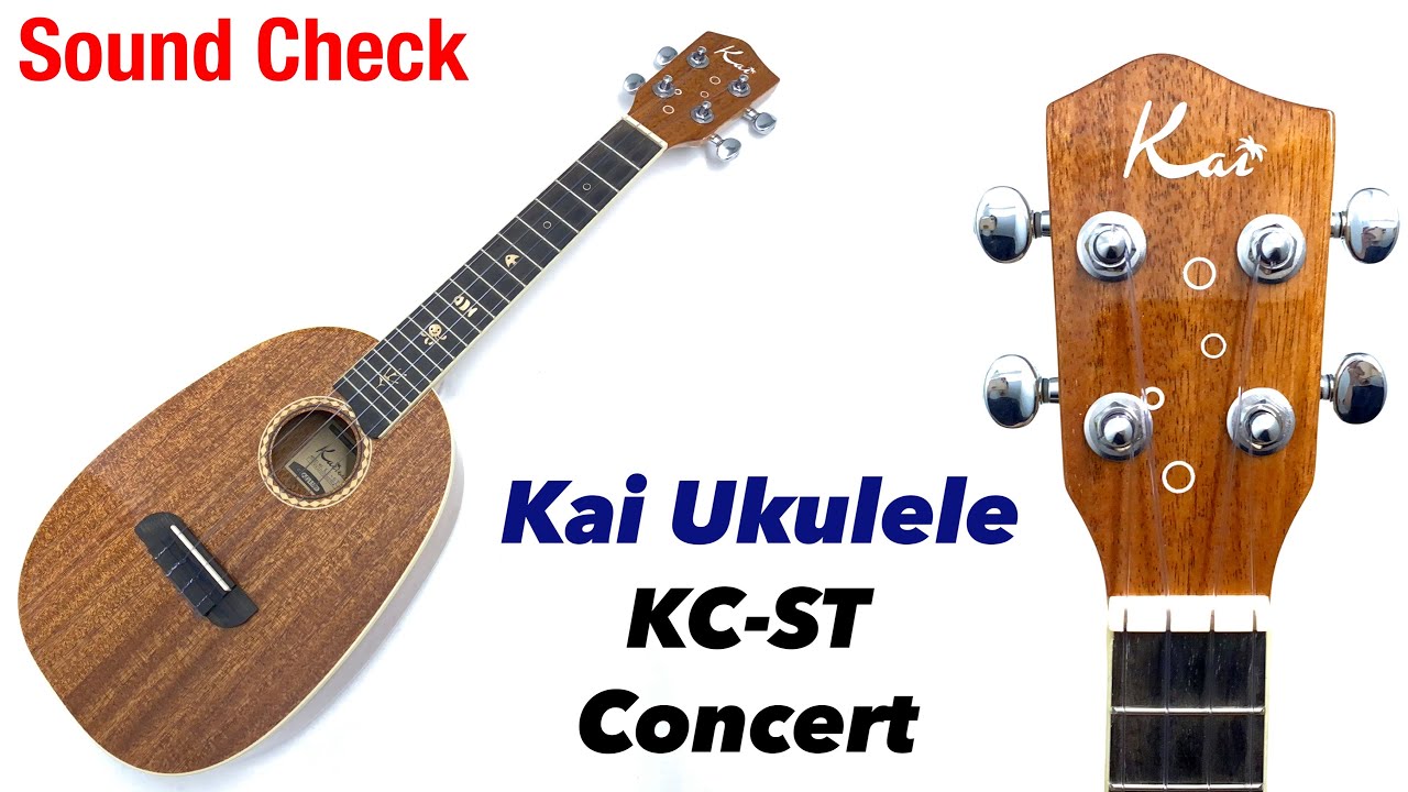 KiiiKiii キヤ I DO ME 中国 QQMUSIC 100枚限定 きくお (Kikuo) – 楽しい楽しい悪夢へおいで (Tanoshii Tanoshii