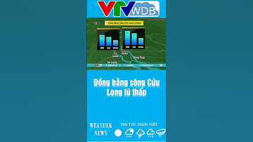 Đồng bằng sông Cửu Long lũ thấp | VTVWDB