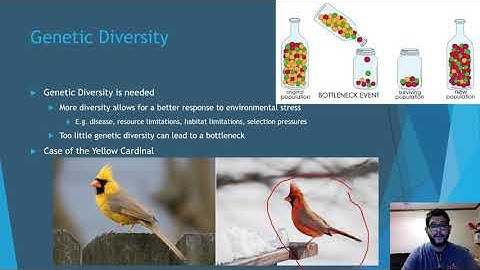 APES Topic 2.1, Introduction to Biodiversity